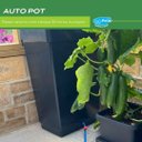 Ver imagem 3 de Reservatório com Tampa Capacidade 30ltr Black Autopot Ap218/t-l/black para Cultivo Autoirrigavel