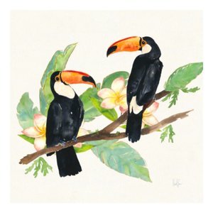 Animal I 80x80cm Preta