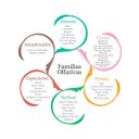 Ver imagem 3 de KIT 5 ESSÊNCIAS VARIADAS PARA AROMATIZADOR VIA AROMA