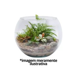 Kit Vaso Vidro Redondo Tipo Aquário 1,5 e 2,2 Litros Decoração e Terrários - Mistral - 5