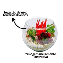 Kit Vaso Vidro Redondo Tipo Aquário 1,5 e 2,2 Litros Decoração e Terrários - Mistral - 2