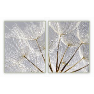 kit com 2 Quadros Decorativos Florais com Moldura e Vidro para Sala Quarto Escritório e Clínica 62x7
