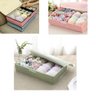 ORGANIZADOR DE GAVETA MULTIUSO CUECA SUTIA CALCINHA CAMISETA COM TAMPA 17 DIVISORIAS EMPILHAVEL - 1