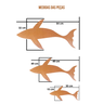 Quadro Peixes Baleia Madeira Maciça Decorativo Envernizado - 2