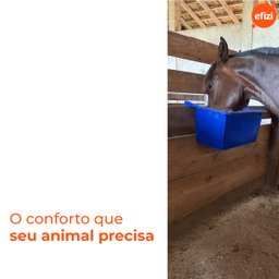 Kit 3 Cochos para Animal 30l Azul Gplas - 4
