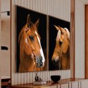 Ver imagem 2 de Quadro Cavalos Marrons Duo Rústico Elegante Tela Canvas