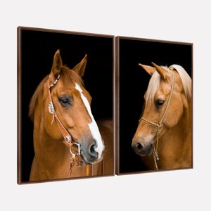 Quadro Cavalos Marrons Duo Rústico Elegante Tela Canvas