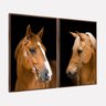 Quadro Cavalos Marrons Duo Rústico Elegante Tela Canvas - 1