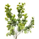 Ver imagem 2 de Galho Folhagem Mini Eucalipto Verde 65cm