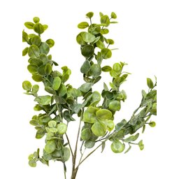 Galho Folhagem Mini Eucalipto Verde 65cm - 2