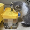 Ver imagem 4 de Bebedouro Fonte Agua Automatico Gato Cachorro Animais Pet Cao Silencioso Bomba Filtro Potavel Casa P