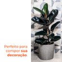 Ver imagem 4 de Vaso Reto Badi Pedra 28 Terrano