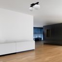 Ver imagem 4 de Painel Plafon Sobrepor de Teto Deluxe Duplo Jabuticaba Preto com Globo Vidro Fosco 10cm