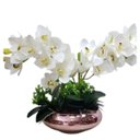 Ver imagem 1 de Arranjo De Flores 2 Orquídeas Branca no vaso de Rosé