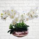 Ver imagem 3 de Arranjo De Flores 2 Orquídeas Branca no vaso de Rosé