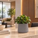 Ver imagem 4 de Vaso Pequeno para Plantas 15,5cm Tramontina Lótus Polietilen