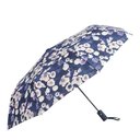 Ver imagem 1 de Sombrinha Automática Floral Azul N230640-1 - Quanhe