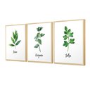 Ver imagem 1 de Kit Quadros Decorativos com Moldura Plantas Temperos Cozinha