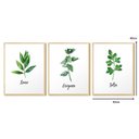 Ver imagem 4 de Kit Quadros Decorativos com Moldura Plantas Temperos Cozinha