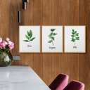 Ver imagem 2 de Kit Quadros Decorativos com Moldura Plantas Temperos Cozinha