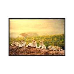 Quadro Decorativo - Familia de Leoes por do Sol Anm008 - Canvas 80x60cm - 2