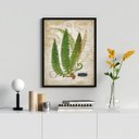 Ver imagem 1 de Quadro Decorativo Vintage Botânica Folhas 24x18cm:madeira Preta