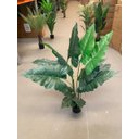 Ver imagem 4 de Planta Artificial Taro Orelha Elefante Decoração Sala 1.20m