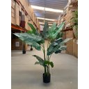 Ver imagem 2 de Planta Artificial Taro Orelha Elefante Decoração Sala 1.20m