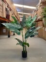 Ver imagem 2 de Planta Artificial Taro Orelha Elefante Decoração Sala 1.20m