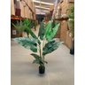 Planta Artificial Taro Orelha Elefante Decoração Sala 1.20m - 12