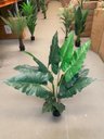 Ver imagem 6 de Planta Artificial Taro Orelha Elefante Decoração Sala 1.20m