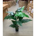 Ver imagem 5 de Planta Artificial Taro Orelha Elefante Decoração Sala 1.20m