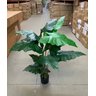 Planta Artificial Taro Orelha Elefante Decoração Sala 1.20m - 5