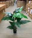 Ver imagem 5 de Planta Artificial Taro Orelha Elefante Decoração Sala 1.20m