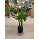 Ver imagem 3 de Planta Artificial Taro Orelha Elefante Decoração Sala 1.20m
