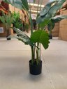 Ver imagem 3 de Planta Artificial Taro Orelha Elefante Decoração Sala 1.20m