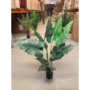 Ver imagem 7 de Planta Artificial Taro Orelha Elefante Decoração Sala 1.20m