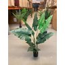 Planta Artificial Taro Orelha Elefante Decoração Sala 1.20m - 7