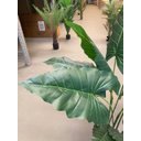 Ver mais imagens de Planta Artificial Taro Orelha Elefante Decoração Sala 1.20m