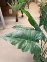 Ver mais imagens de Planta Artificial Taro Orelha Elefante Decoração Sala 1.20m