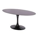 Ver imagem 1 de Mesa Saarinen Oval São Gabriel 120x80cm - Base Preta mgsaarinen