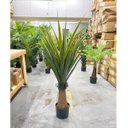 Ver imagem 7 de Planta Artificial Dracena Realista Toque Real Arvore 140cm