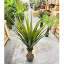 Ver imagem 6 de Planta Artificial Dracena Realista Toque Real Arvore 140cm