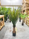 Ver imagem 2 de Planta Artificial Dracena Realista Toque Real Arvore 140cm