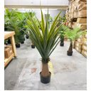 Ver imagem 5 de Planta Artificial Dracena Realista Toque Real Arvore 140cm