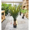 Ver imagem 5 de Planta Artificial Dracena Realista Toque Real Arvore 140cm
