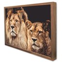 Ver imagem 4 de Quadro Decorativo Casal de Leões em Moldura Caixa Tacolado Moldura Trad 1cm Branca com Vidro 20 X 30