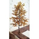 Ver imagem 5 de Planta Artificial Árvore Ficus Outono 1,60metros de Altura