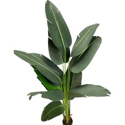 Bananeira Viajante Artificial Grande Planta 150cm - 6