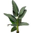 Ver imagem 6 de Bananeira Viajante Artificial Grande Planta 150cm